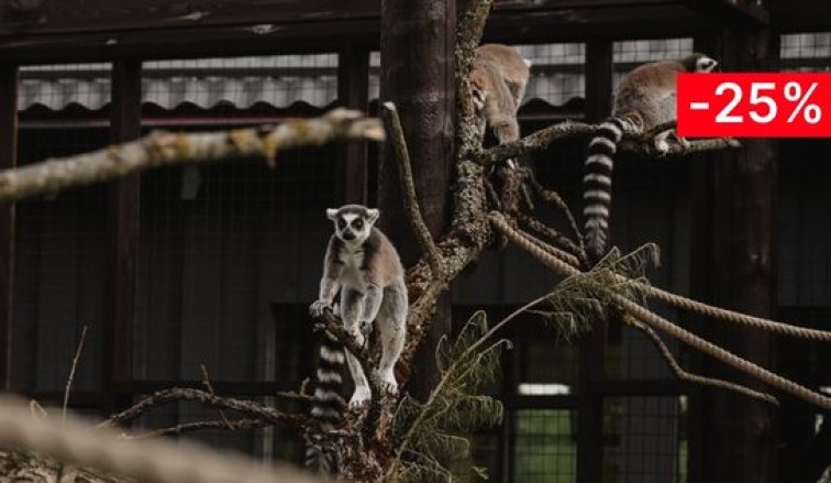 Посещение <br>Sigulda ZOO