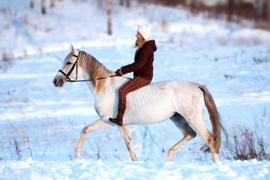 Прогулка на лошади (1 перс., 1ч, Катлакалнс) #4