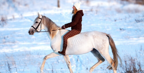 Прогулка на лошади (1 перс., 1ч, Катлакалнс) #4