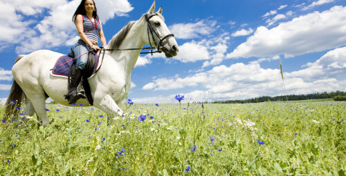 Прогулка на лошади (1 перс., 1ч, Катлакалнс) #1