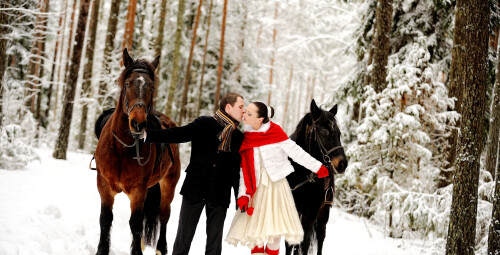 Прогулка на лошади (2 перс., 1ч, Катлакалнс) #4