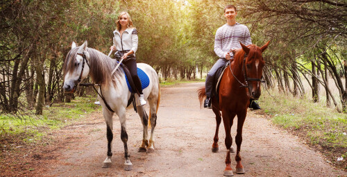 Прогулка на лошади (2 перс., 1ч, Катлакалнс) #2