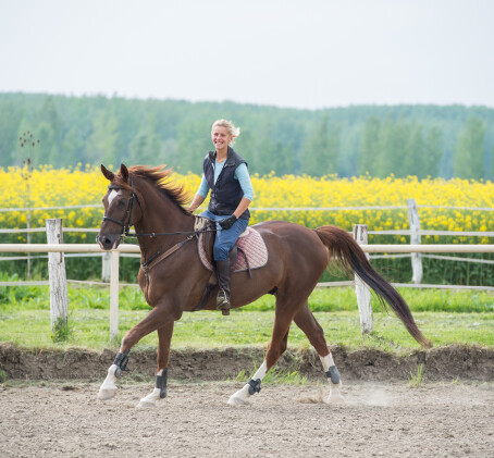 Individuāla jāšanas apmācība (1 pers., 1h, Katlakalns)