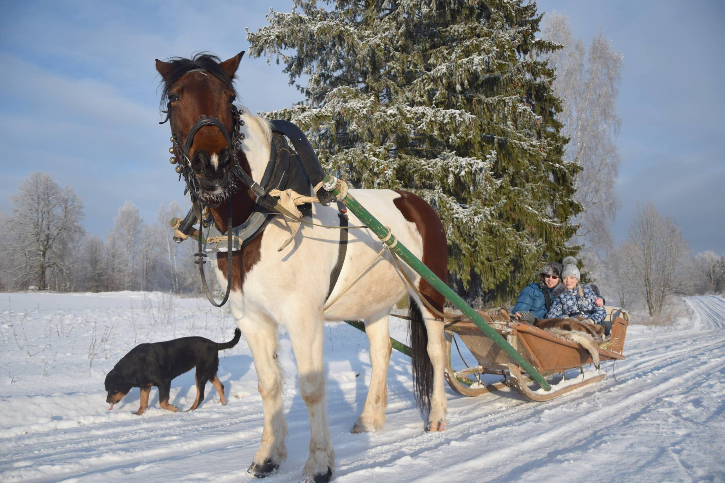 Катаниенасаняхзимой(3перс.)