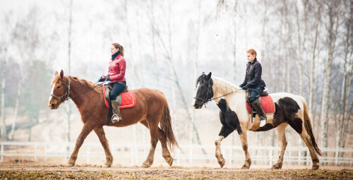 «Даугавас локи» – катание на лошадях #1