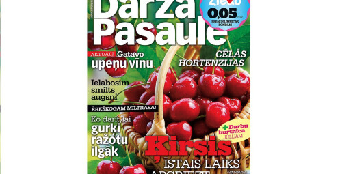 Подписка на DĀRZA PASAULE (12 мес.) По всей территории Латвии #8