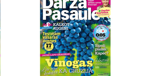 Dāvanu karte žurnāla DĀRZA PASAULE abonementam (12 mēn.) Visa Latvija #7