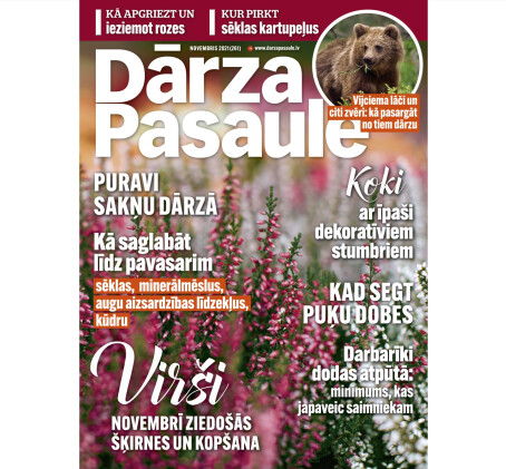 Dāvanu karte žurnāla DĀRZA PASAULE abonementam (12 mēn.)