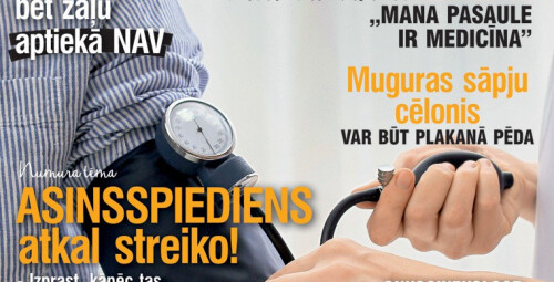 Подписка на VESELĪBA (12 мес.) По всей территории Латвии #1