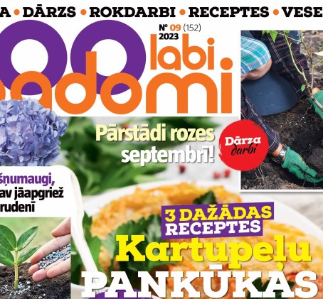 Dāvanu karte žurnāla 100 LABI PADOMI abonementam (12 mēn.)