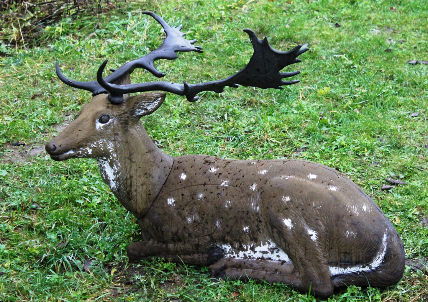 Šaušana ar loku + apmācība