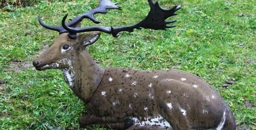 Šaušana ar loku + apmācība Lauberes pagasts #1