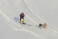 Piedzīvojumu brauciens sniega suņu pajūgā (2 pers./ 3 km.)