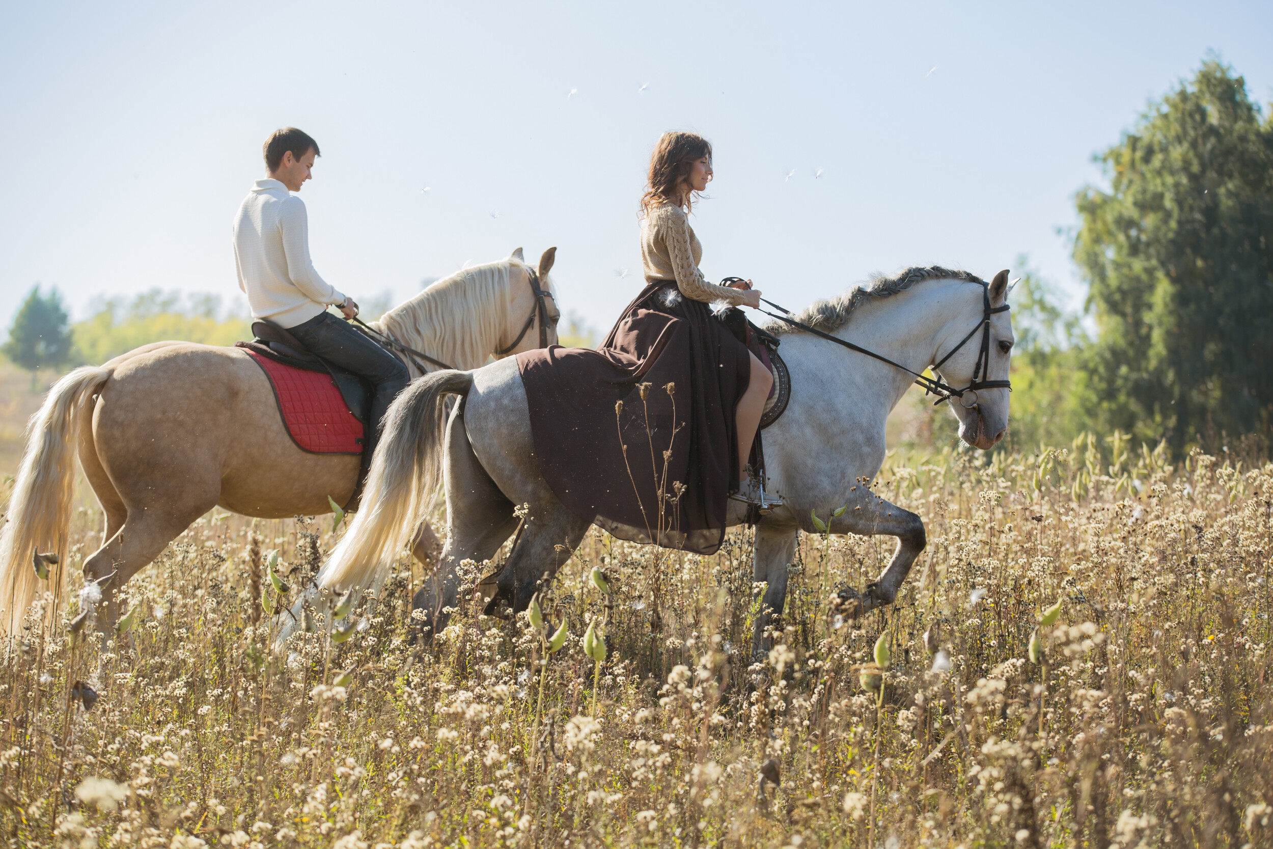 Loves riding. Пара верхом на лошадях. Конная прогулка для двоих. Прогулка на лошадях. Романтическая Конная прогулка.