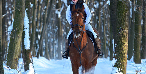 Izjāde ar zirgu gar Daugavu #4