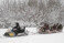 Izbrauciens ar kamanām sniega motocikla pavadībā (2 personām)