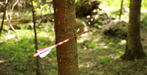 Посещение короткой трассы для стрельбы из лука для 2 персон #3