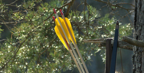 Посещение короткой трассы для стрельбы из лука для 2 персон #7