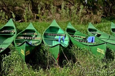 Катание на лодке в природном парке «Даугвас локи» Даугавпилсский край #5