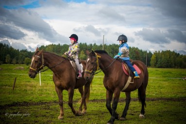 Катание на лошади + индивидуальное обучение для начинающих Кекавский край #1
