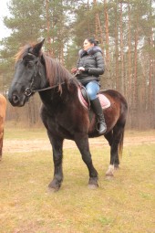Катание на лошади + индивидуальное обучение для начинающих Кекавский край #3