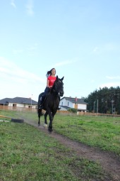 Катание на лошади + индивидуальное обучение для начинающих Кекавский край #4