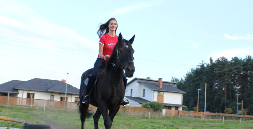 Катание на лошади + индивидуальное обучение для начинающих Кекавский край #4