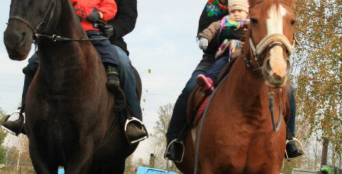 Катание на лошадях для семьи (родители + дети) Ķekavas novads #3