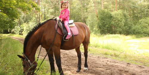 Катание на лошадях для семьи (родители + дети) Ķekavas novads #6