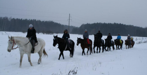 Катание на лошадях вместе с друзьями Кекавский край #4