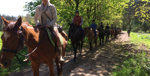 Izjāde ar zirgiem draugu lokā (6 pers.)