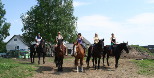 Катание на лошадях вместе с друзьями Кекавский край #6