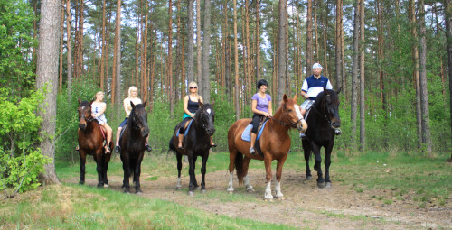 Катание на лошадях вместе с друзьями Кекавский край #2