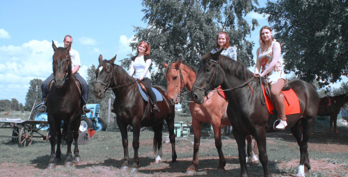 Катание на лошадях вместе с друзьями Кекавский край #10