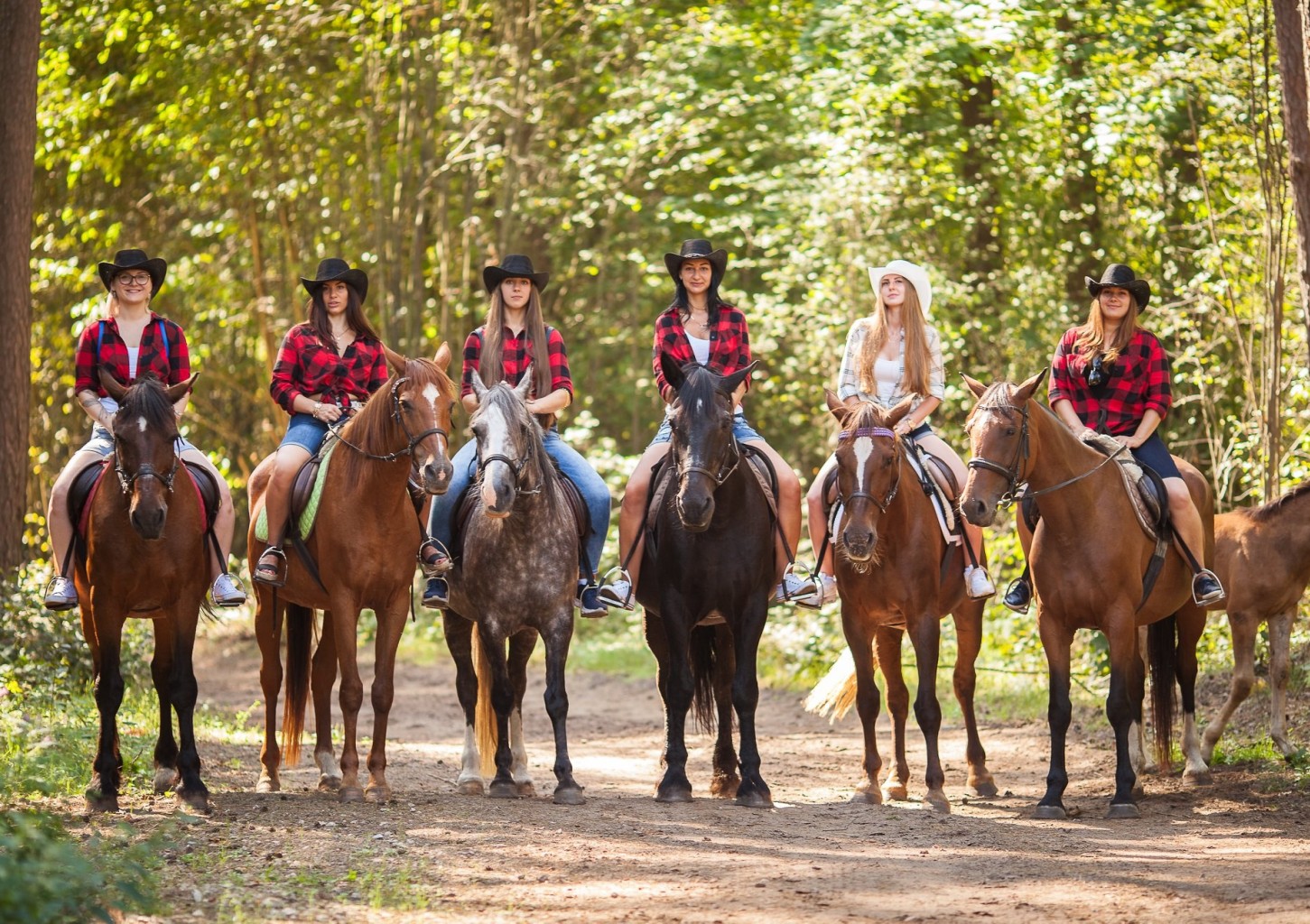 Izjāde ar zirgiem draugu lokā (6 pers.)