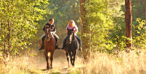 Романтическая прогулка на лошадях для двоих + фотосессия Кекавский край #2
