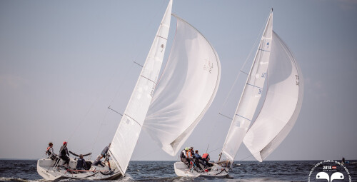 Класс парусным спортом #2