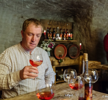 Дегустация вин произведенных в Латвии