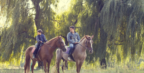 Семейная прогулка на лошадях в парке Jumpravmuiža Bauskas novads #3