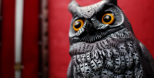 Квест «Тайная Комната» от Noescape #1