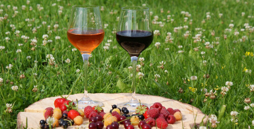 „Tēviņu” mājas vīnu degustācija Kandavas novads #3
