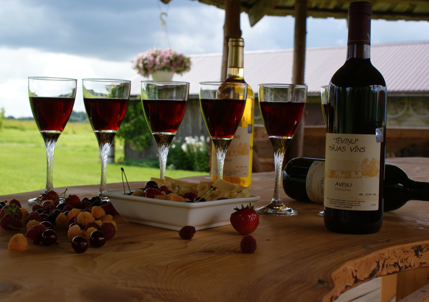 "TĒVIŅKALNA" vīna degustācija