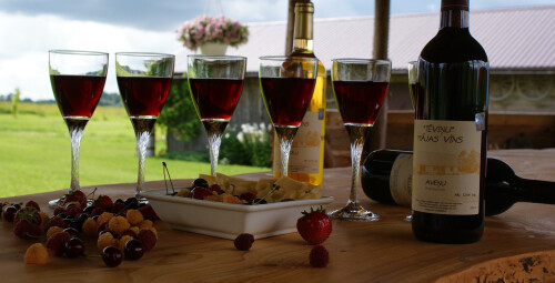 „Tēviņu” mājas vīnu degustācija Kandavas novads #1