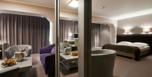 Отдых в номере Apartment Double гостиницы Bellevue Park Hotel Riga #1