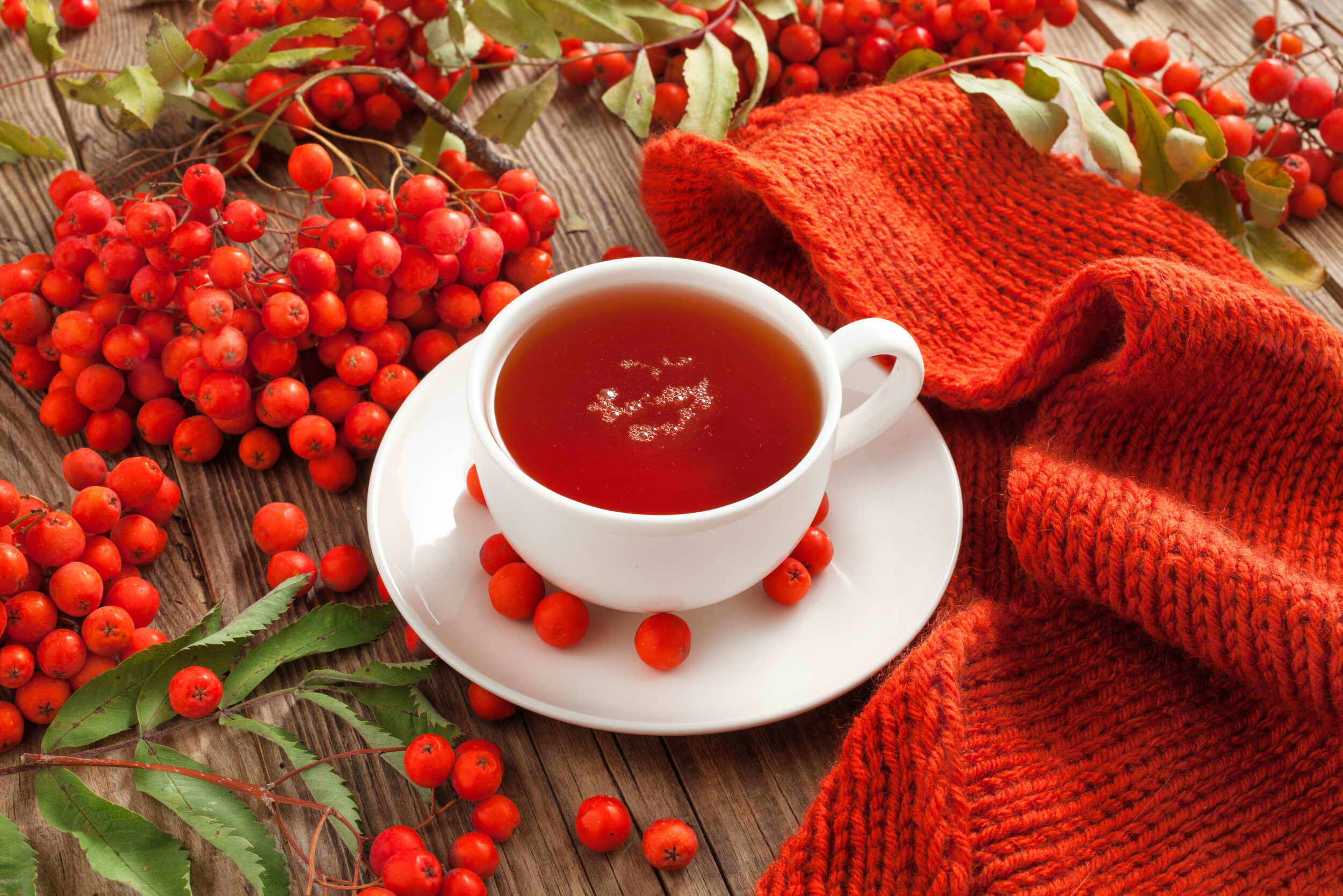 Красная утра 5 букв. Ягодный чай. Чашка с чаем и ягодами. Чай с рябиной. Чашка чая с ягодами.