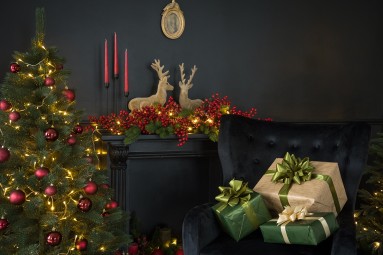 Рождественская фотосессия в Риге – час волшебства и улыбок