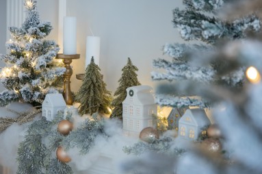 Рождественская фотосессия в Риге – час волшебства и улыбок