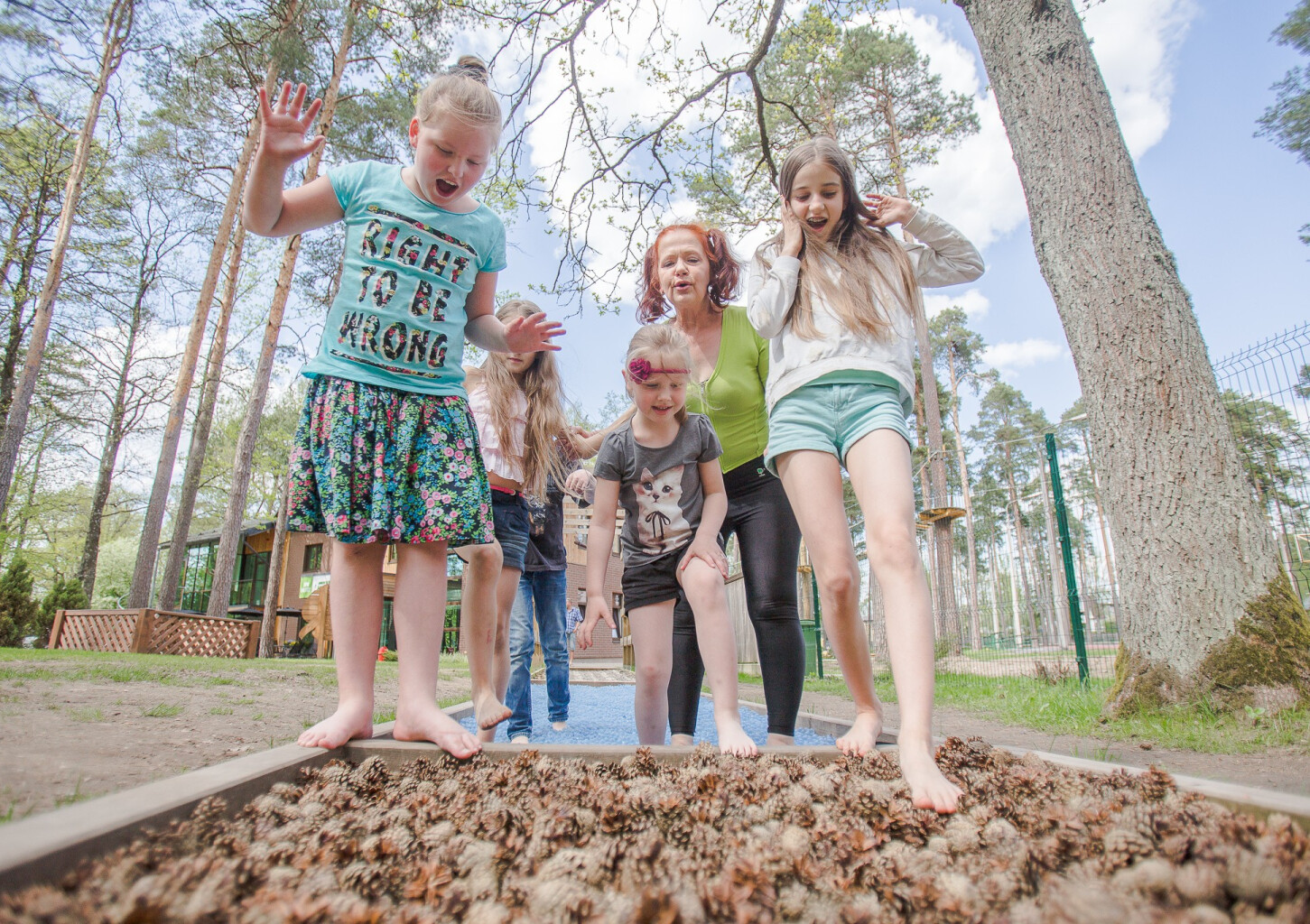 Baskāju taka Gaujas stāvo krastu Sajūtu parkā