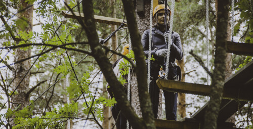 Тропа по деревьям в Парке ощущений на крутых берегах Гауи #4