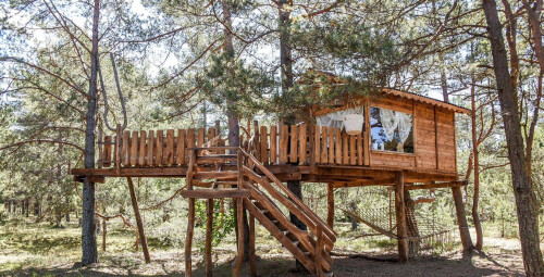 Brīvdienas namiņā kokā „Miera Ostā“ (2 pers.) #1